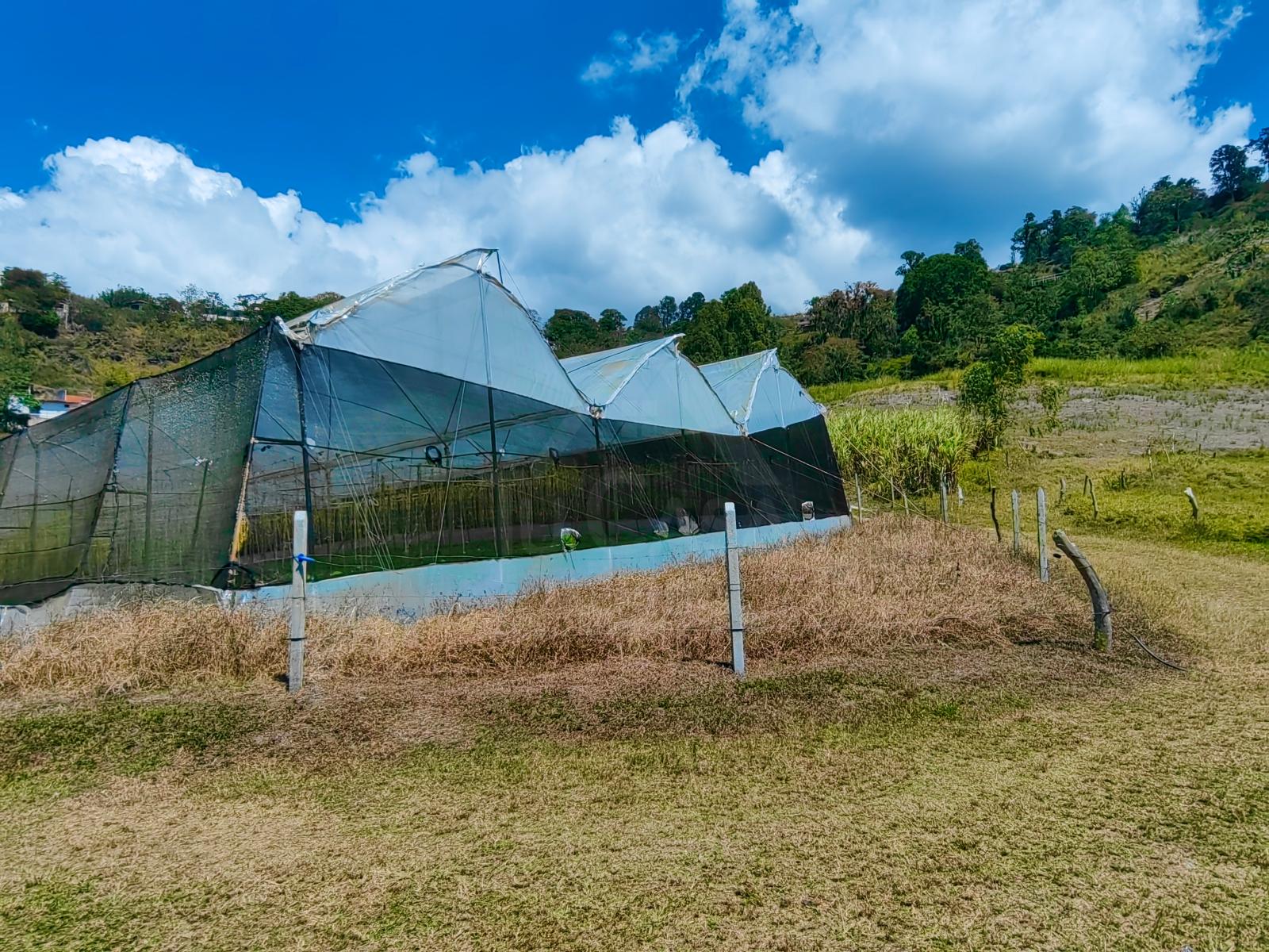 Imagen del Inmueble