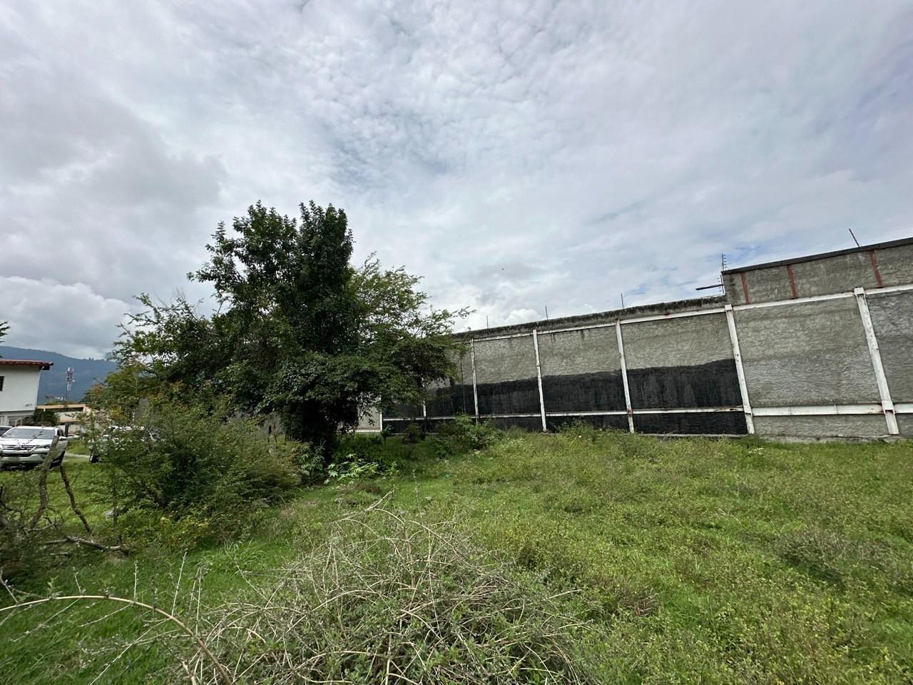 Terreno en Venta - Av. Los Próceres (Antonio Spinetti Dini) - Mérida - Estado Mérida